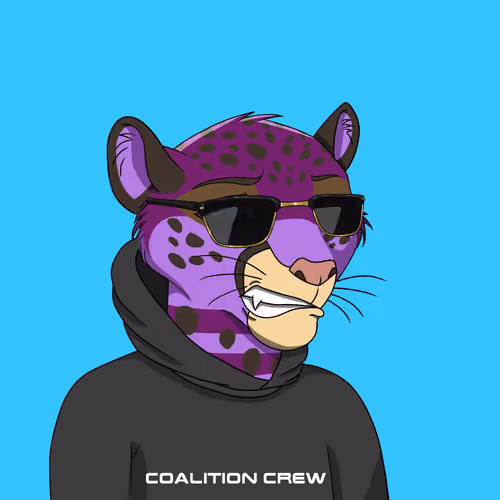 Coalition Crew 2.0 #2135