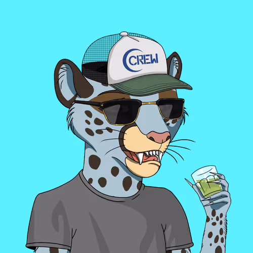 Coalition Crew 2 0