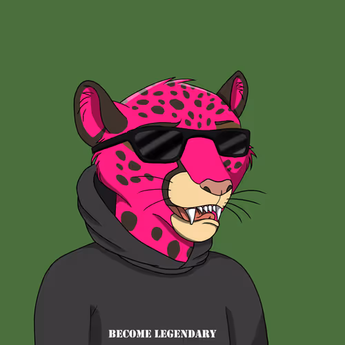 Coalition Crew 2 0