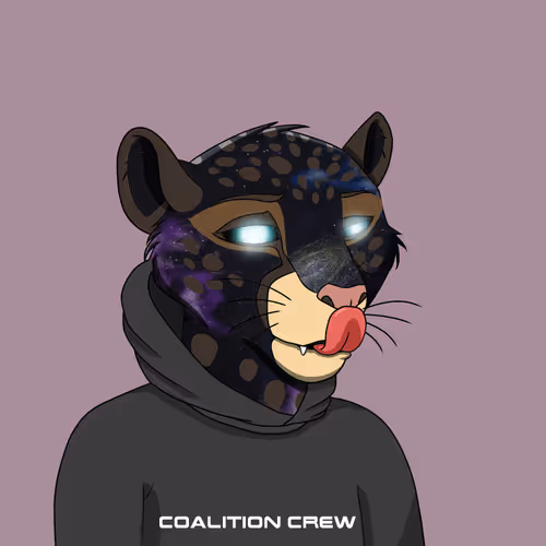 Coalition Crew 2 0