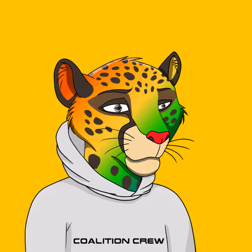 Coalition Crew 2 0
