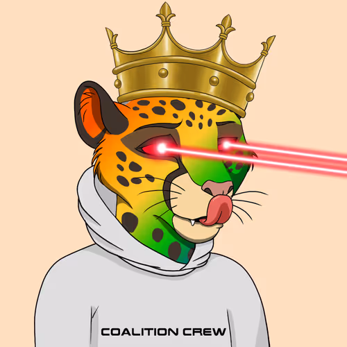 Coalition Crew 2 0
