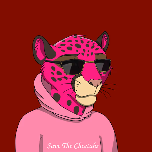Coalition Crew 2 0