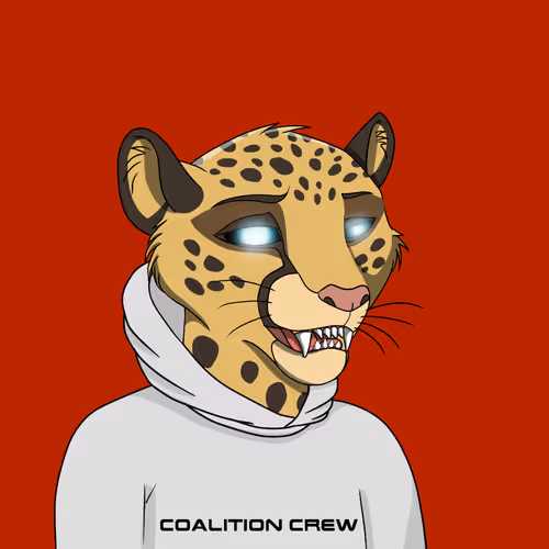 Coalition Crew 2 0