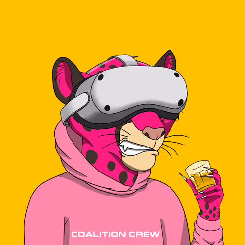 Coalition Crew 2 0