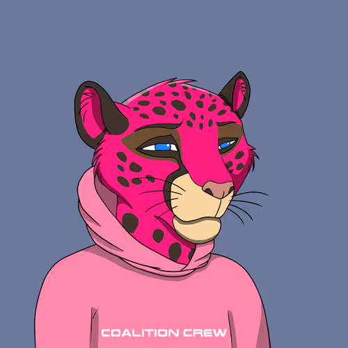 Coalition Crew 2 0