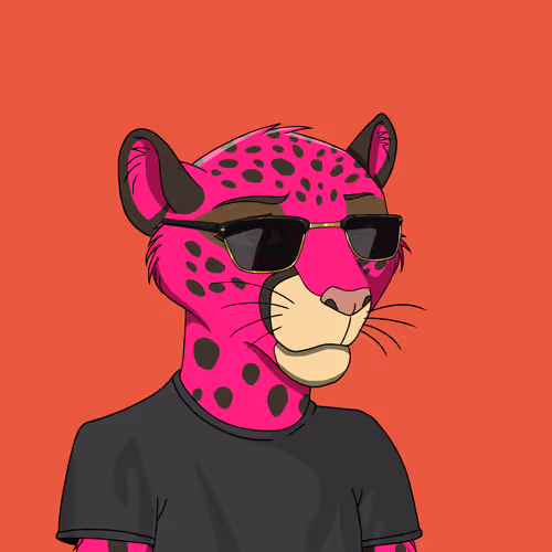 Coalition Crew 2 0
