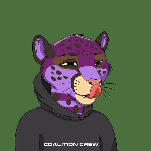 Coalition Crew 2 0