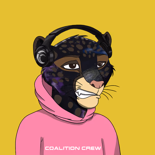 Coalition Crew 2 0