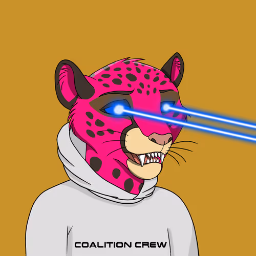 Coalition Crew 2 0