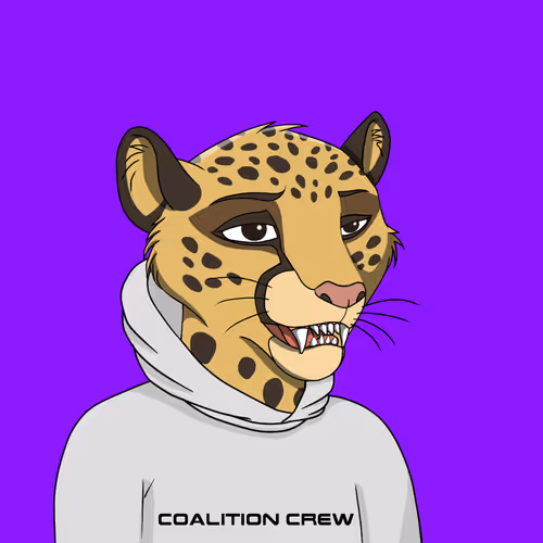 Coalition Crew 2 0
