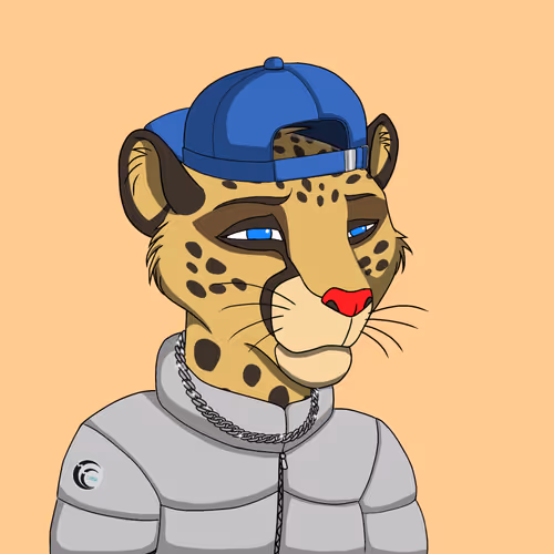 Coalition Crew 2 0