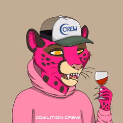 Coalition Crew 2.0 #2458