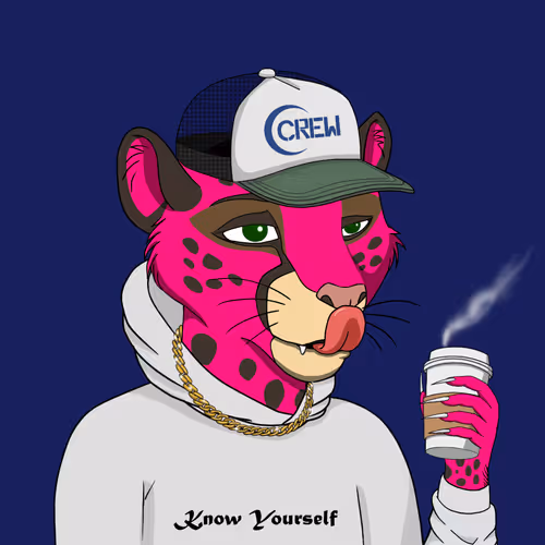 Coalition Crew 2 0