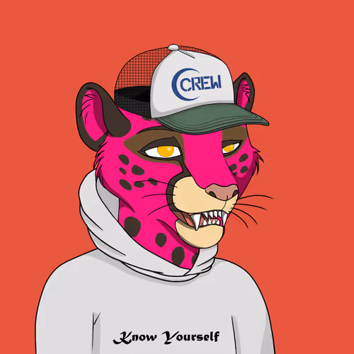 Coalition Crew 2 0