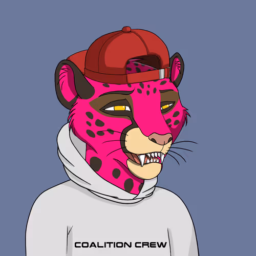Coalition Crew 2 0