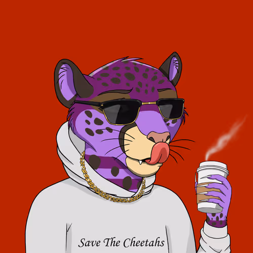 Coalition Crew 2 0