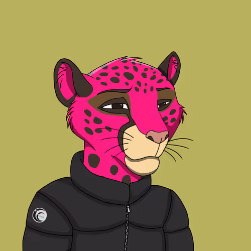 Coalition Crew 2 0