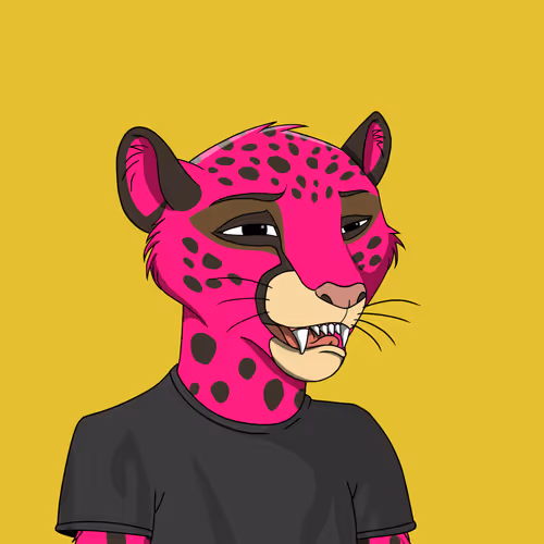 Coalition Crew 2 0