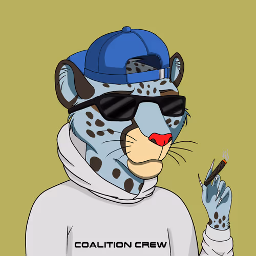 Coalition Crew 2 0