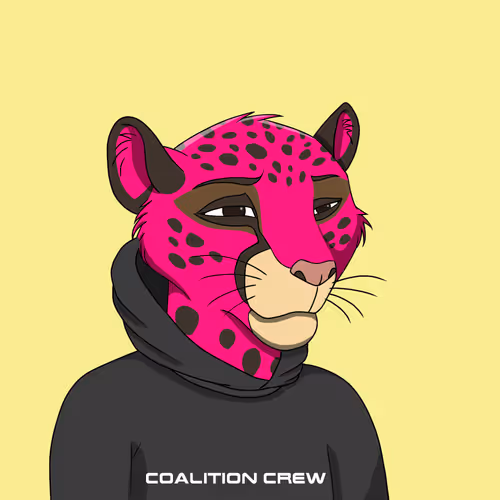 Coalition Crew 2 0