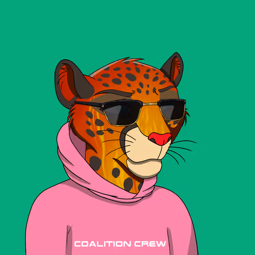 Coalition Crew 2 0