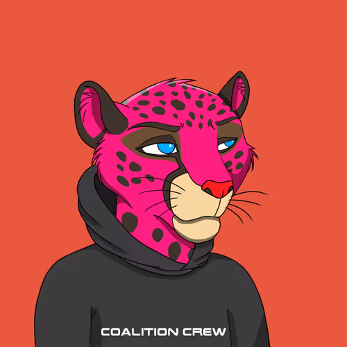 Coalition Crew 2.0 #2476