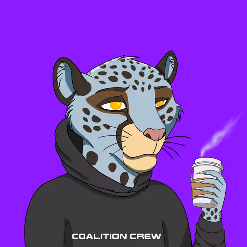 Coalition Crew 2 0