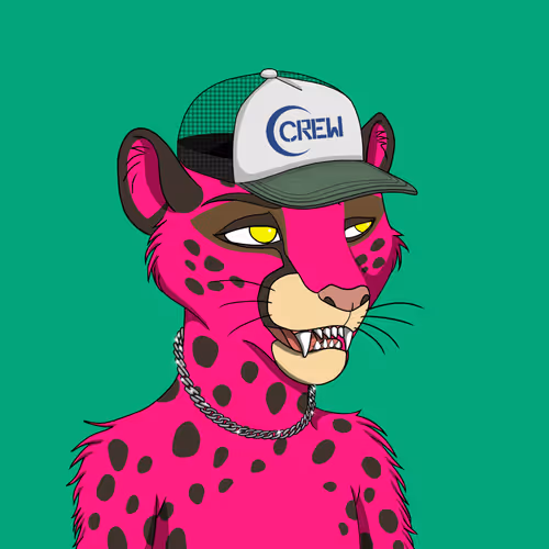 Coalition Crew 2 0