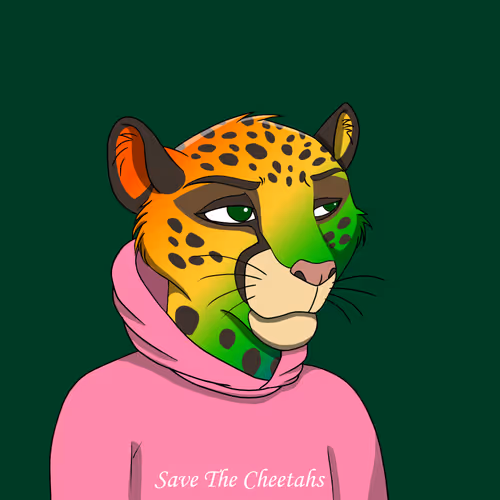 Coalition Crew 2 0