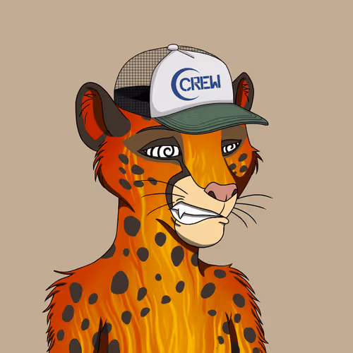 Coalition Crew 2 0