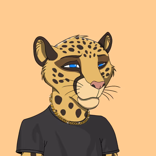 Coalition Crew 2 0