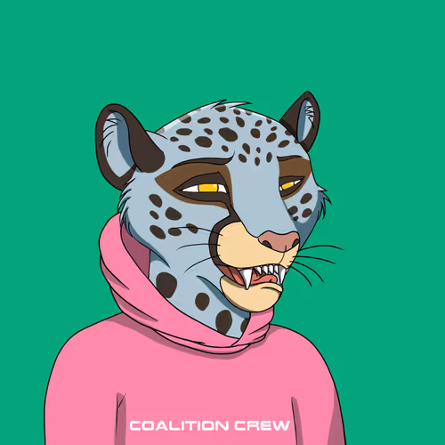 Coalition Crew 2 0