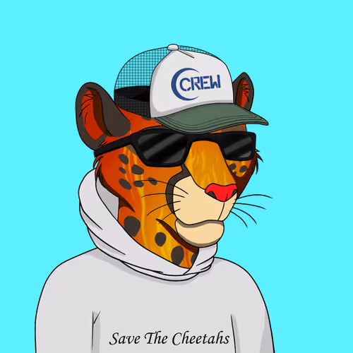 Coalition Crew 2 0