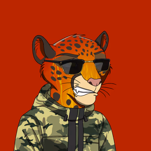 Coalition Crew 2 0