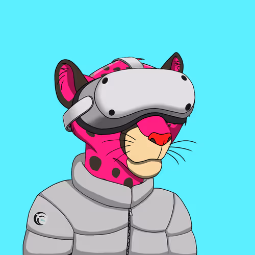 Coalition Crew 2 0