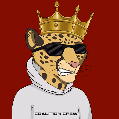 Coalition Crew 2 0