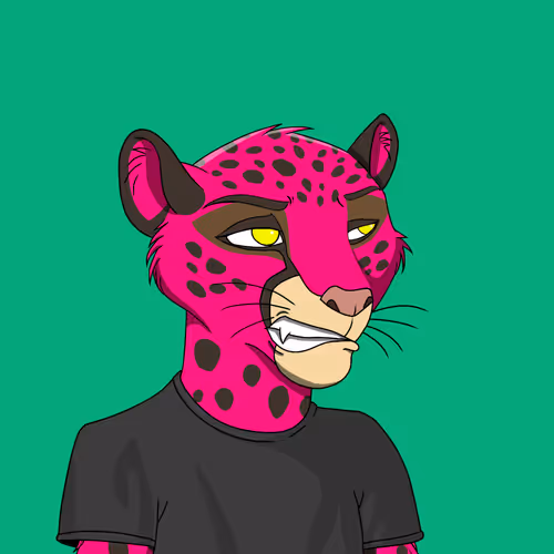 Coalition Crew 2 0