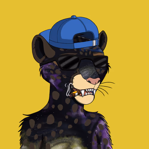 Coalition Crew 2 0