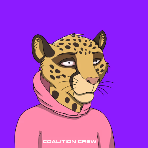 Coalition Crew 2 0
