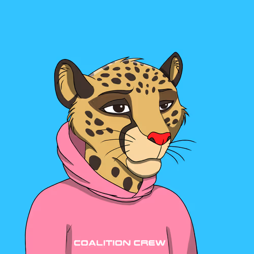 Coalition Crew 2 0