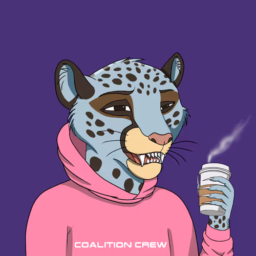 Coalition Crew 2 0