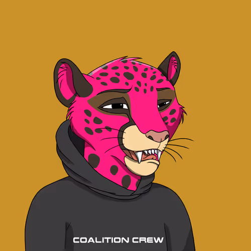 Coalition Crew 2 0