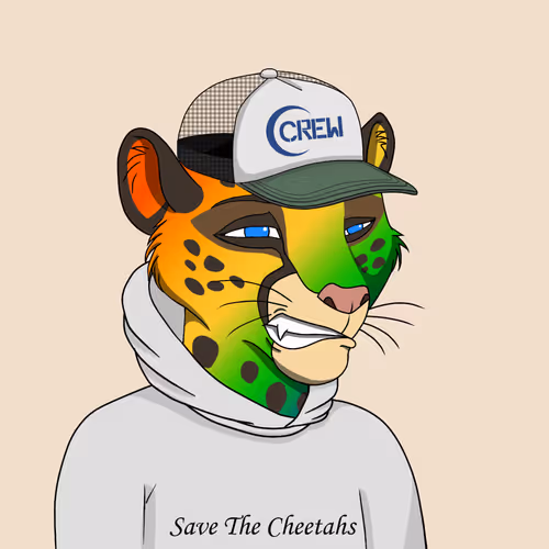 Coalition Crew 2 0