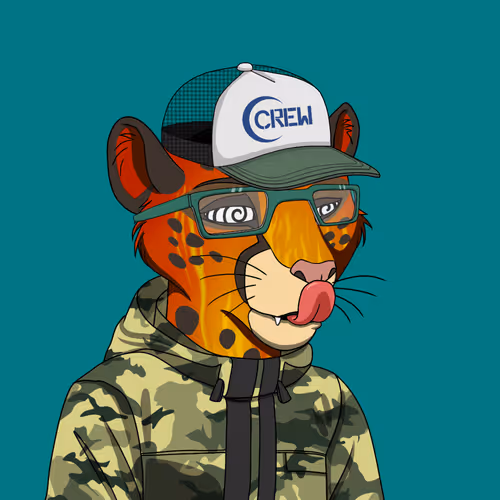 Coalition Crew 2 0
