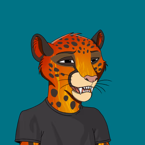 Coalition Crew 2 0