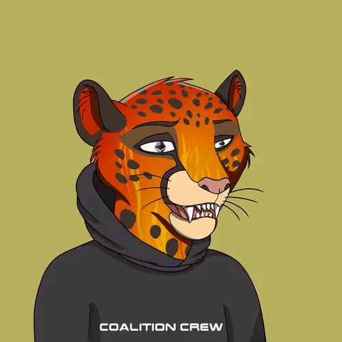 Coalition Crew 2 0