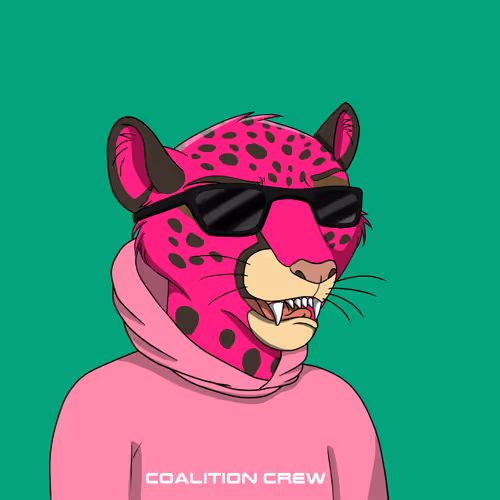 Coalition Crew 2 0