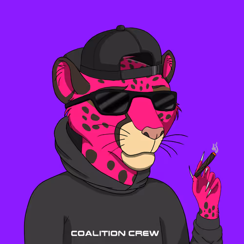 Coalition Crew 2 0