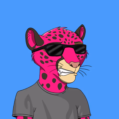 Coalition Crew 2 0